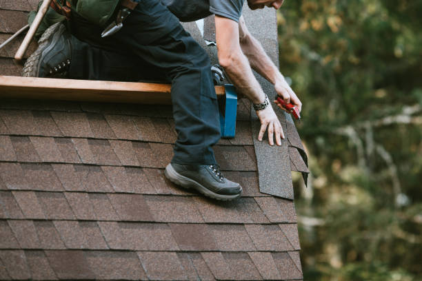 Roof Gutter Cleaning in Twain Harte, CA